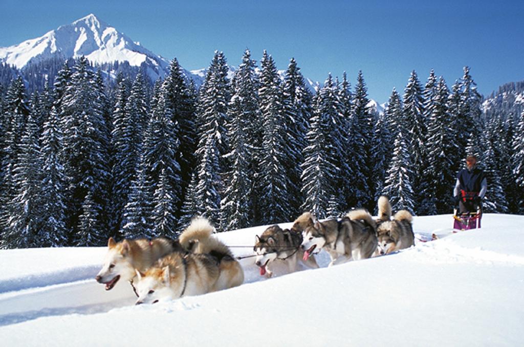 Alpen Select Lodge Kleinwalsertal リーツラーン エクステリア 写真